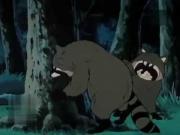 مخلص صديق الحيوان