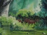 مخلص صديق الحيوان