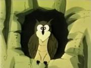 بومبو السيارة المرحة