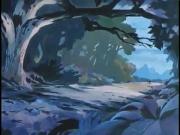 الدببة الطائرة