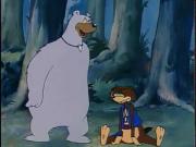 الدببة الطائرة