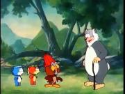 الدببة الطائرة