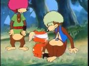 الدببة الطائرة