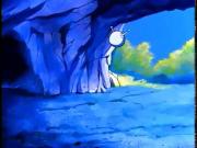 الدببة الطائرة