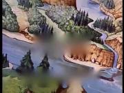 الدببة الطائرة