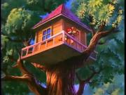 الدببة الطائرة