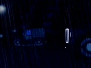 النمر المقنع