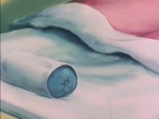 النمر المقنع